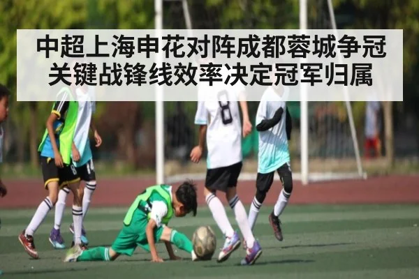 中超上海申花对阵成都蓉城争冠关键战锋线效率决定冠军归属